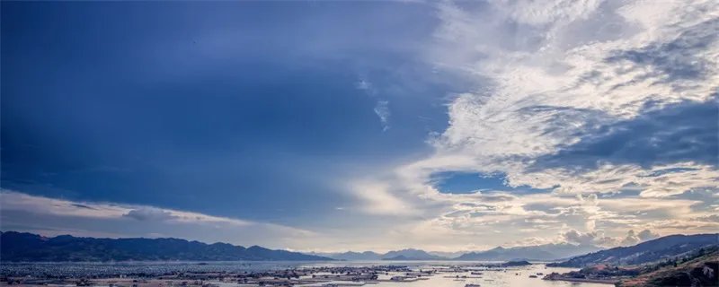 什么鸟是海上清洁工 被称为海上清洁工的是什么鸟