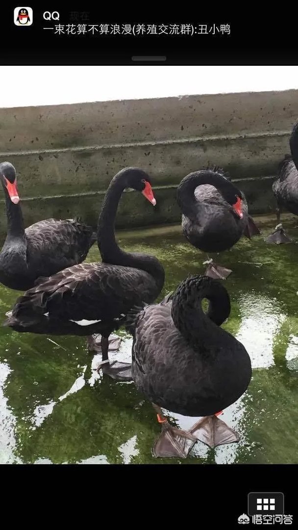 不要怕不会撑坏的