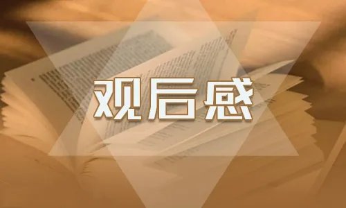 开学第一课2020年秋季直播观后感5篇最新