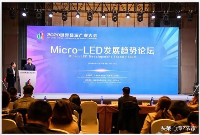 世界显示 “屏”什么看合肥？