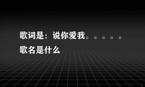 歌词是：说你爱我。。。。。歌名是什么