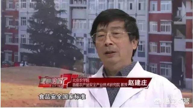 喝茶要先洗茶吗？茶叶中有没有农药的残留？