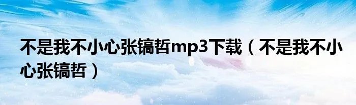 不是我不小心张镐哲mp3下载（不是我不小心张镐哲）