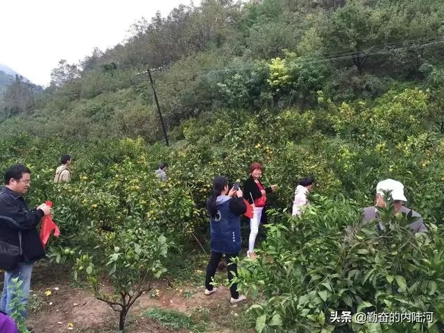 西安到汉中三日新手自驾游攻略有哪些？