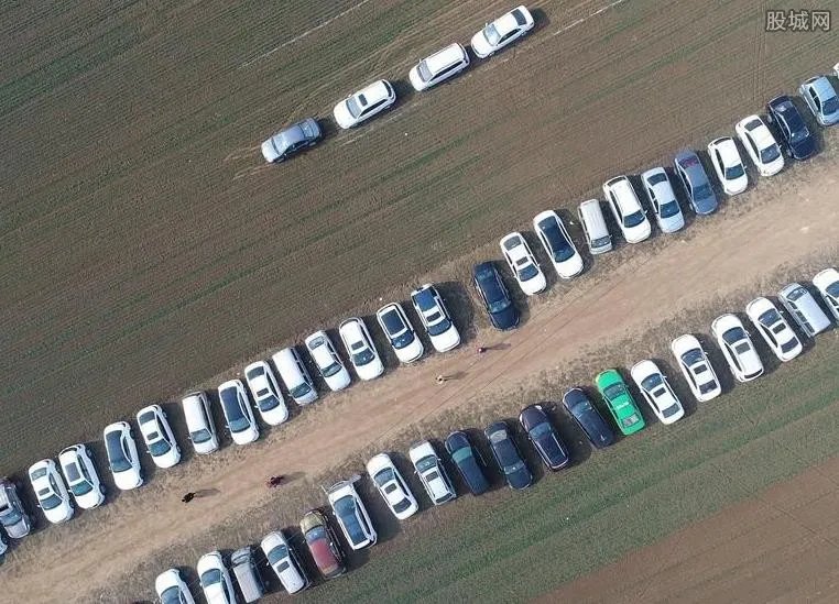 村民改麦田为临时停车场 一天收入高达2000元