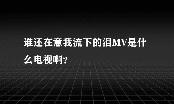 谁还在意我流下的泪MV是什么电视啊？