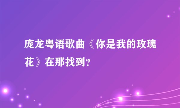 庞龙粤语歌曲《你是我的玫瑰花》在那找到？