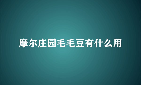 摩尔庄园毛毛豆有什么用