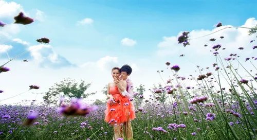 上海婚纱照排名  上海婚纱照外景推荐