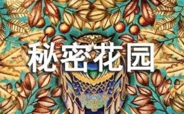 秘密花园读书心得及收获