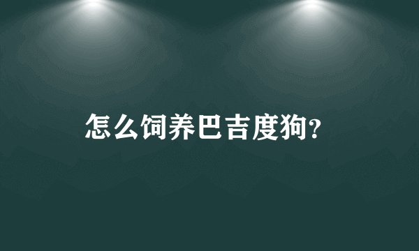 怎么饲养巴吉度狗？