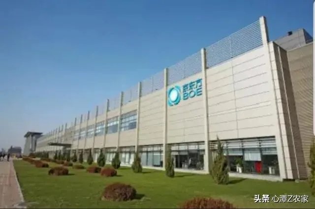 世界显示 “屏”什么看合肥？