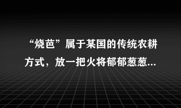 “烧芭”属于某国的传统农耕方式，放一把火将郁郁葱葱的热带雨林烧成“空地”，长达数月的林火引发烟霾，严重影响本国和邻国的空气质量。有关叙述错误的是（　　）A.“烧芭”后将发生群落的初生演替B.“烧芭”说明人类活动能改变群落演替的方向C.“烧芭”可加速生态系统物质循环的速度D.“烧芭”对空气质量的影响说明许多生态问题具有全球性