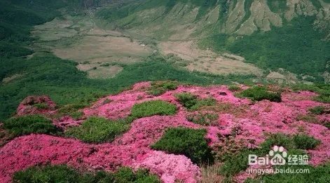 真理是什么？什么是宇宙的真理