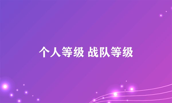 个人等级 战队等级