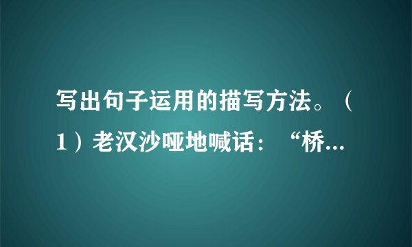 写出句子运用的描写方法。（1）老汉沙哑地喊话：“桥窄！排成一队，不要挤！党员排在后边！”______（2）渔夫皱起眉，他的脸变得严肃、忧虑。______（3）马宝玉嗖的一声拔出手榴弹，拧开盖子，用尽全身气力扔向敌人。______（4）“我为什么要这样做？……如今叫我怎么对他说呢？……”桑娜沉思着。______（5）在一节车厢里，坐着一位头发灰白的战时后备役老兵。______