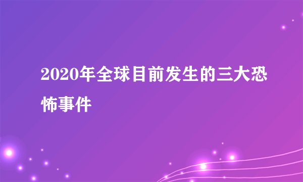 2020年全球目前发生的三大恐怖事件