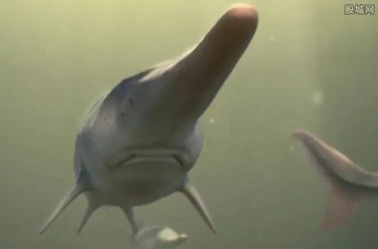 长江特有物种白鲟已灭绝 拯救淡水生物多样性迫在眉睫