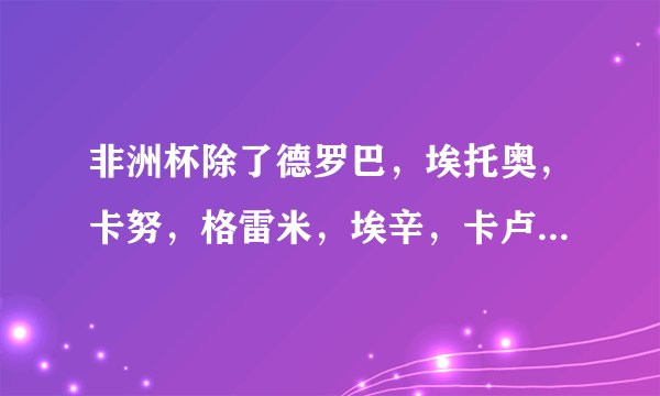 非洲杯除了德罗巴，埃托奥，卡努，格雷米，埃辛，卡卢还有什么比较有名的明星？