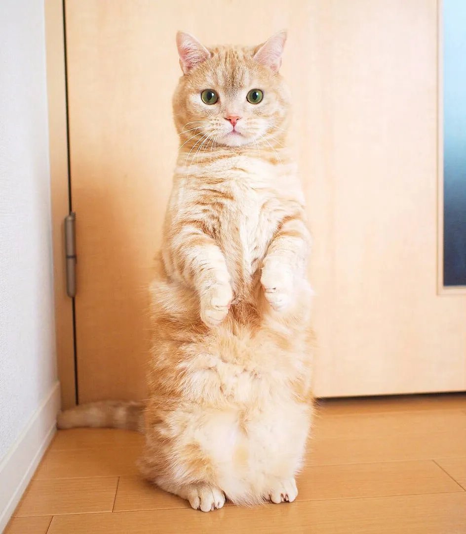 5300200等于多少万？