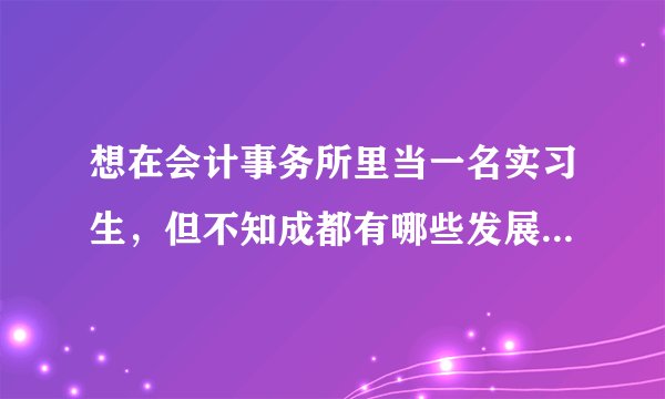 想在会计事务所里当一名实习生，但不知成都有哪些发展前景好的会计师事务所，求介绍~~~谢谢！