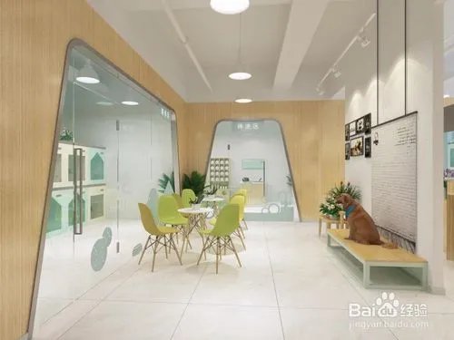 宠物美容怎样学习好？