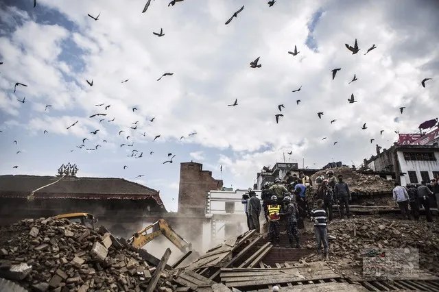 佳能感动典藏 专业组新闻获奖作品赏析