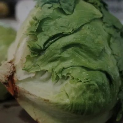 郑多燕瘦身食谱是什么?让你一个月轻松瘦10斤