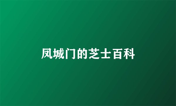 凤城门的芝士百科