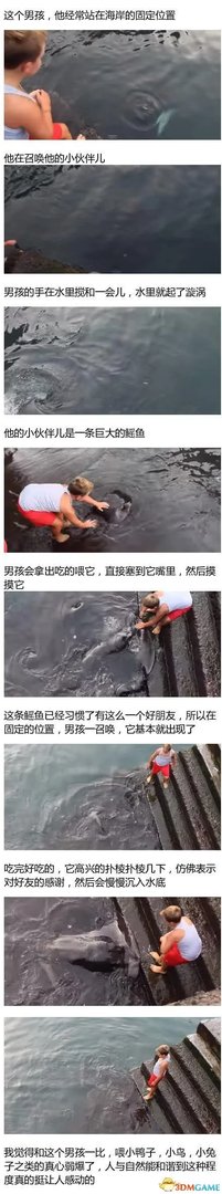 男孩与鳐鱼成好友 人鱼间友谊天地可鉴日月可表