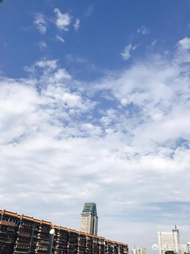 怎么养殖龙虾种苗?