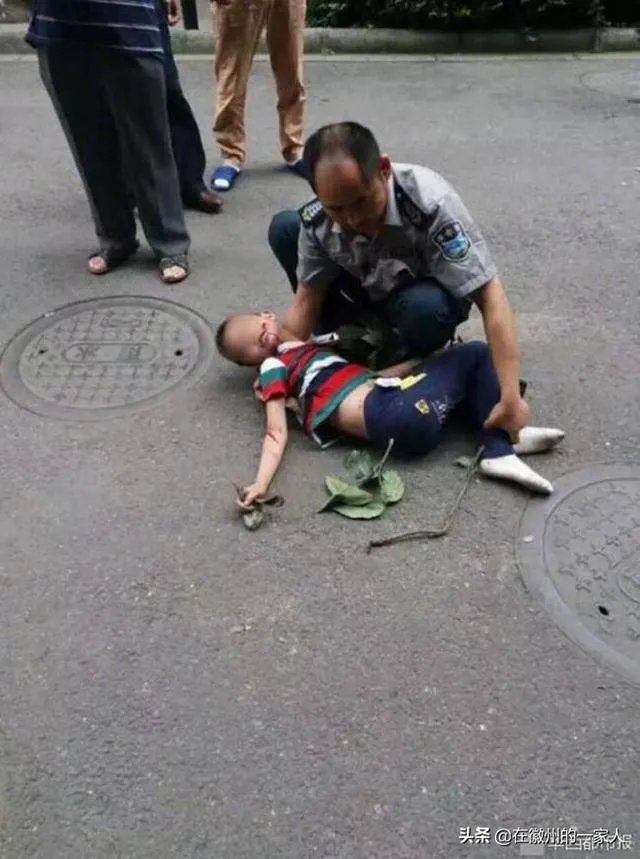 老人用绳吊7岁孙子下楼救猫，同是生命做法值得吗？