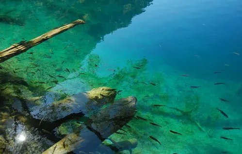 九寨沟旅游自助旅游全攻略