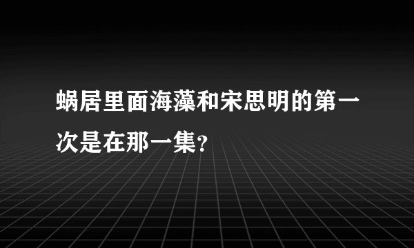 蜗居里面海藻和宋思明的第一次是在那一集？