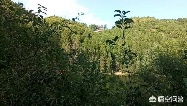 癌症晚期是独自离家出走留一份遗书不拖累家人，还是跟家人度过最后的日子？