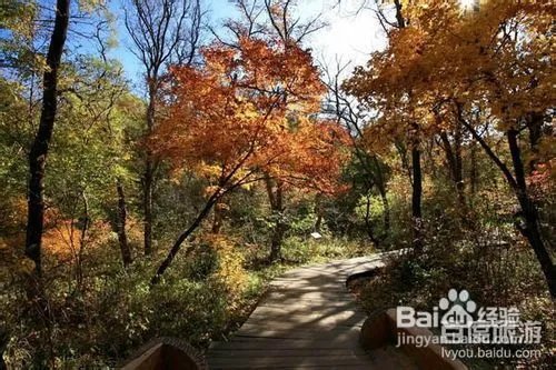 大青沟旅游攻略