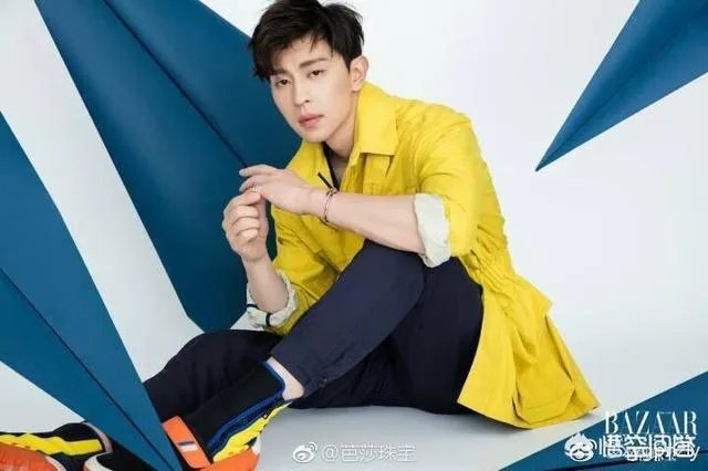 猪年央视春晚阵容公布，你最期待哪位艺人的演出？