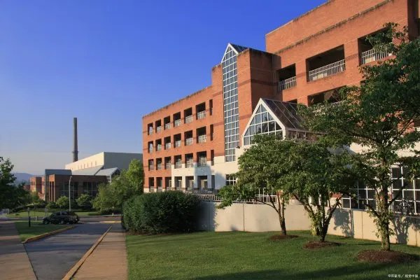 新西兰西方理工学院的学士后文凭课程，学制为1年，那该课程怎样？