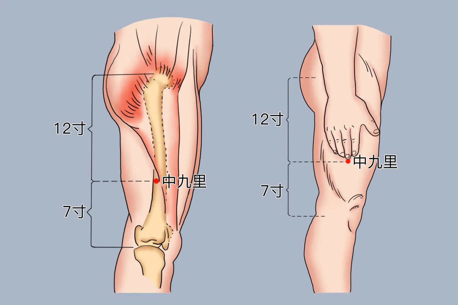 中九里的准确位置图片