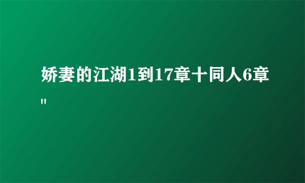 娇妻的江湖1到17章十同人6章