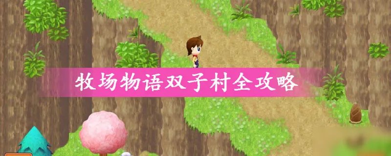 《牧场物语》双子村怎么玩 双子村全攻略