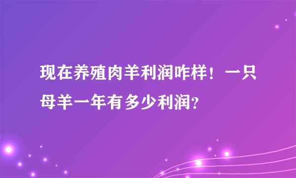 现在养殖肉羊利润咋样！一只母羊一年有多少利润？