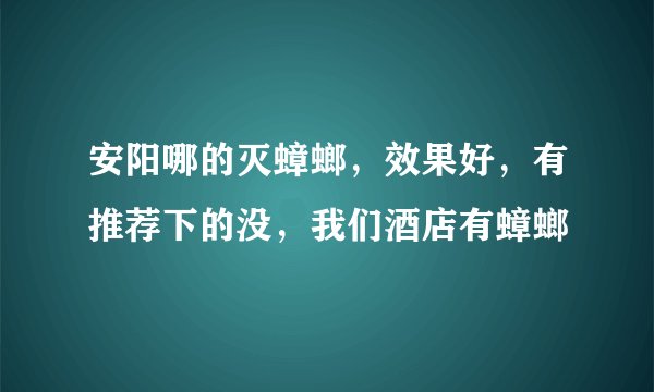 安阳哪的灭蟑螂，效果好，有推荐下的没，我们酒店有蟑螂
