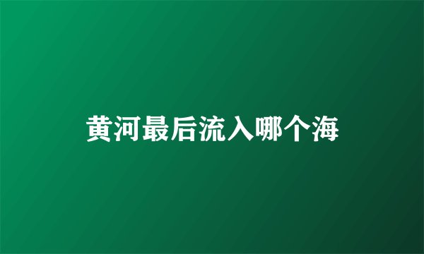 黄河最后流入哪个海