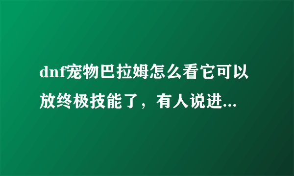 dnf宠物巴拉姆怎么看它可以放终极技能了，有人说进图有个集气条，可是没有啊，知道的告诉下