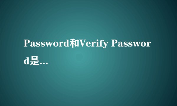 Password和Verify Password是什么意思