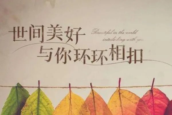 网络十大流行歌曲排行榜：夏天的风上榜，第九乃“治愈神曲”