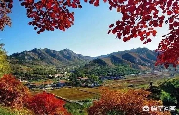 想去拉萨玩，有什么要注意的吗？