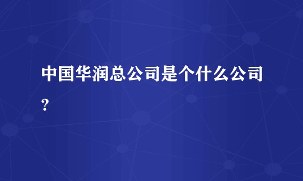 中国华润总公司是个什么公司？