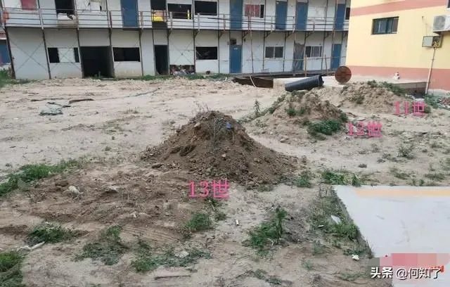 祖坟遗骨被抛洒，78位村民状告开发商索赔410万，怎么回事？